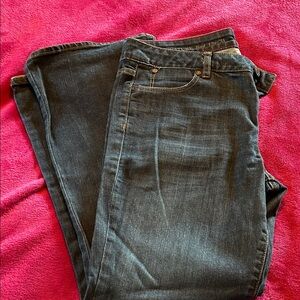 Talbots Stylish Dark Blue Jeans